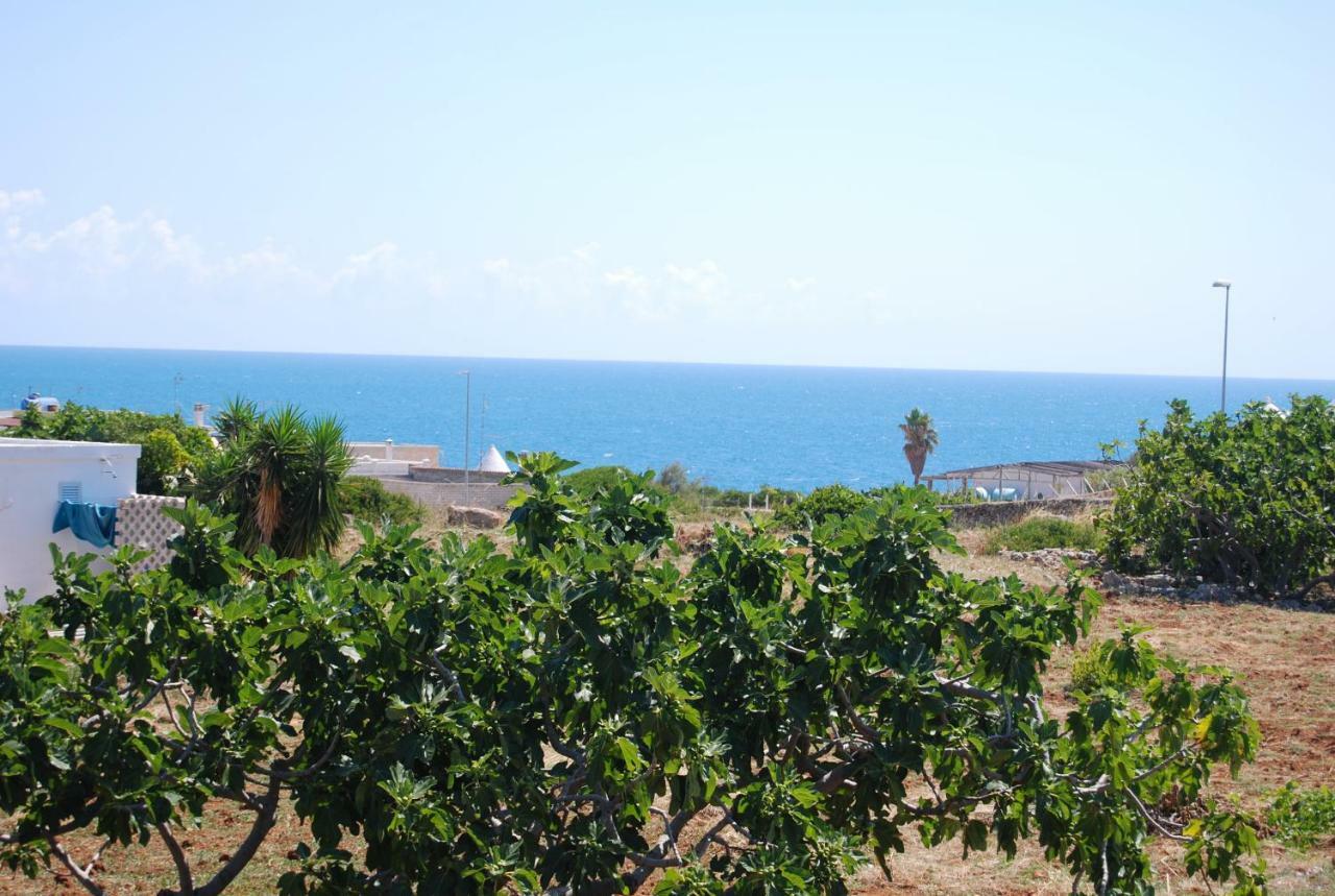 Eagle'S Nest Villa Polignano a Mare Exterior photo